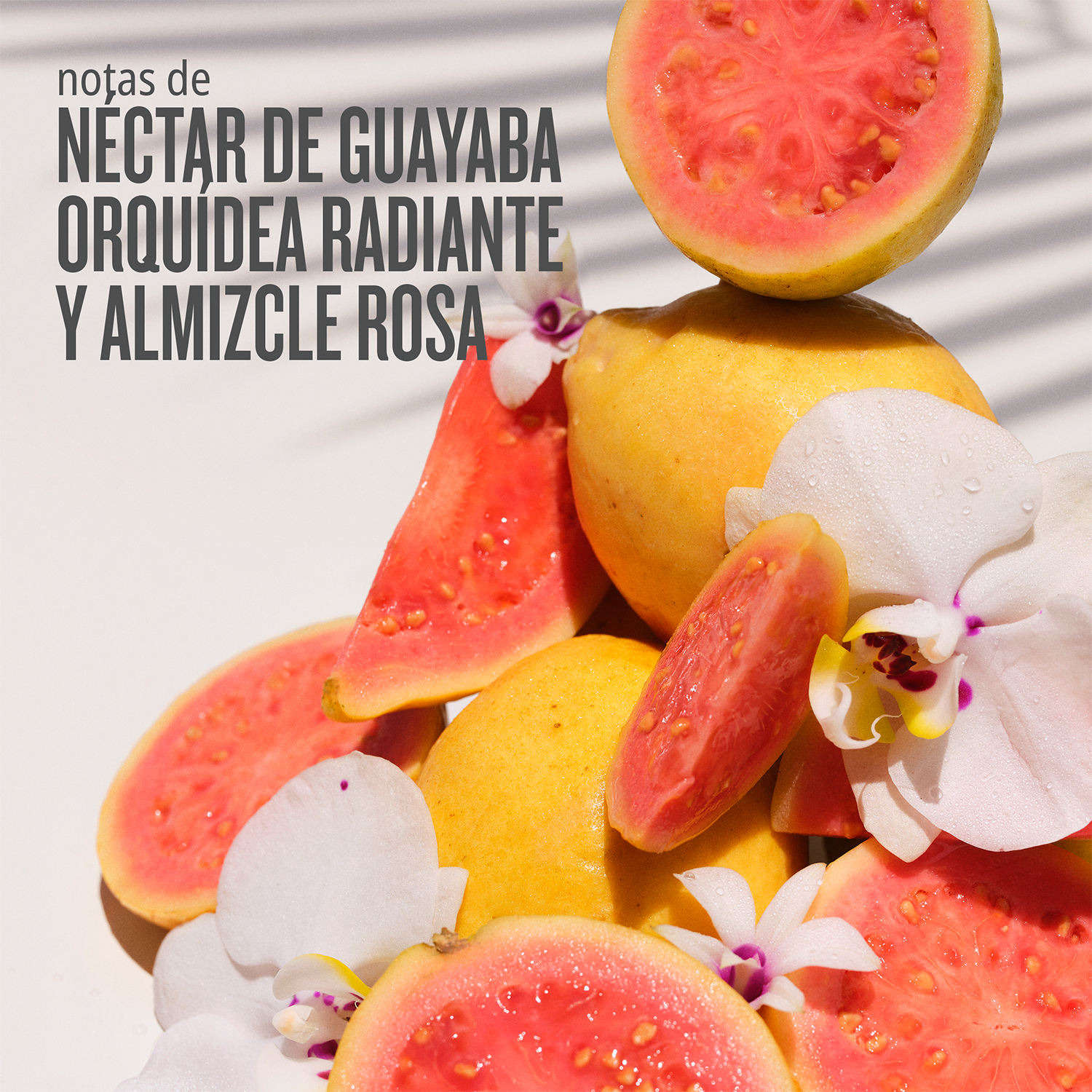 CHEIROSA 48 PERFUME MIST (FRAGANCIA CORPORAL)